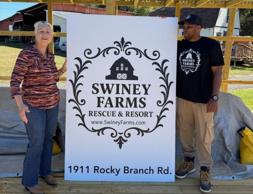 Rooted in Service: Ending 2025 With Love, Entering 2026 With a Bigger Vision